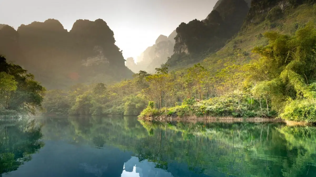 网络化无人化科技